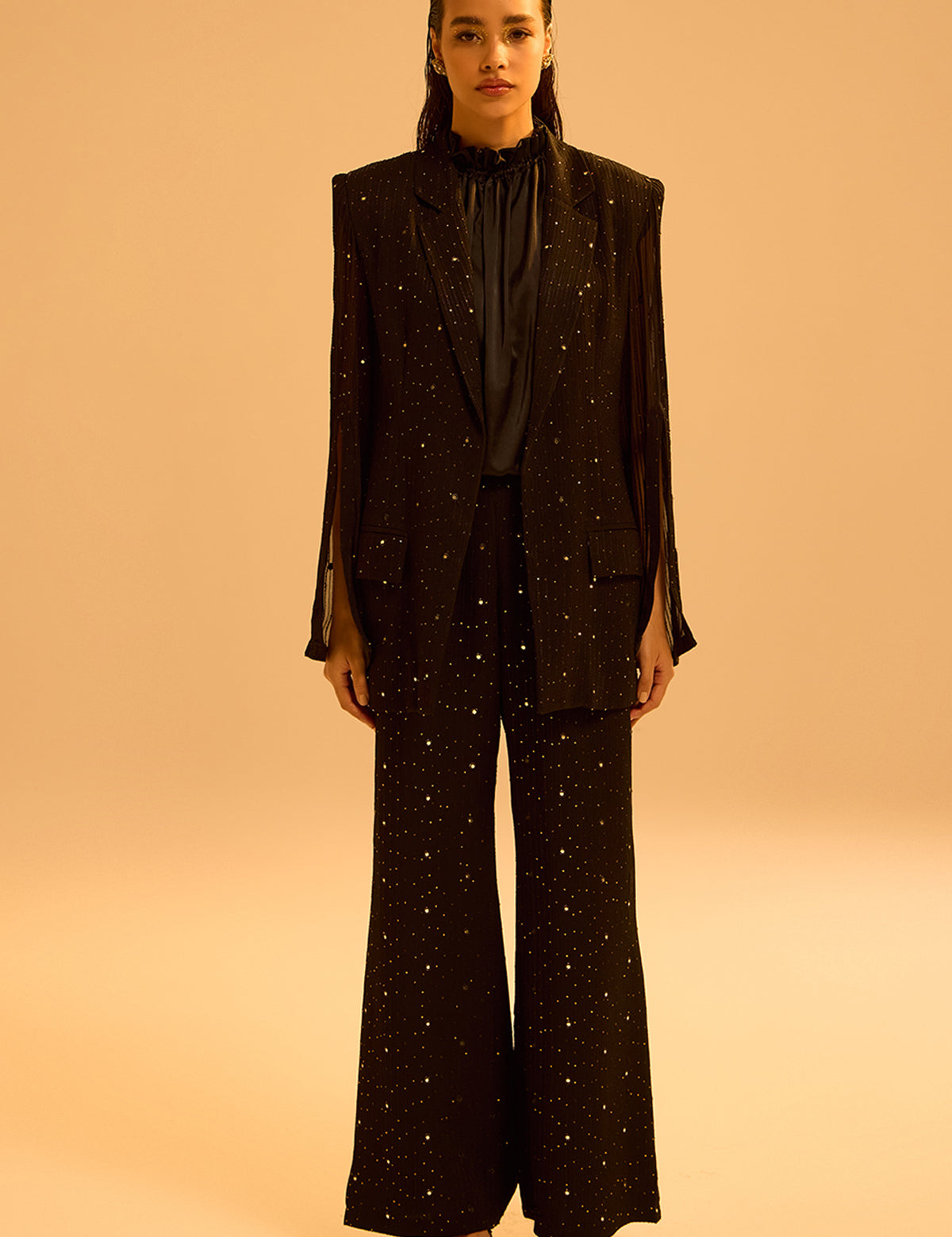Black Waterfall Blazer with mirror work – Aina Karée