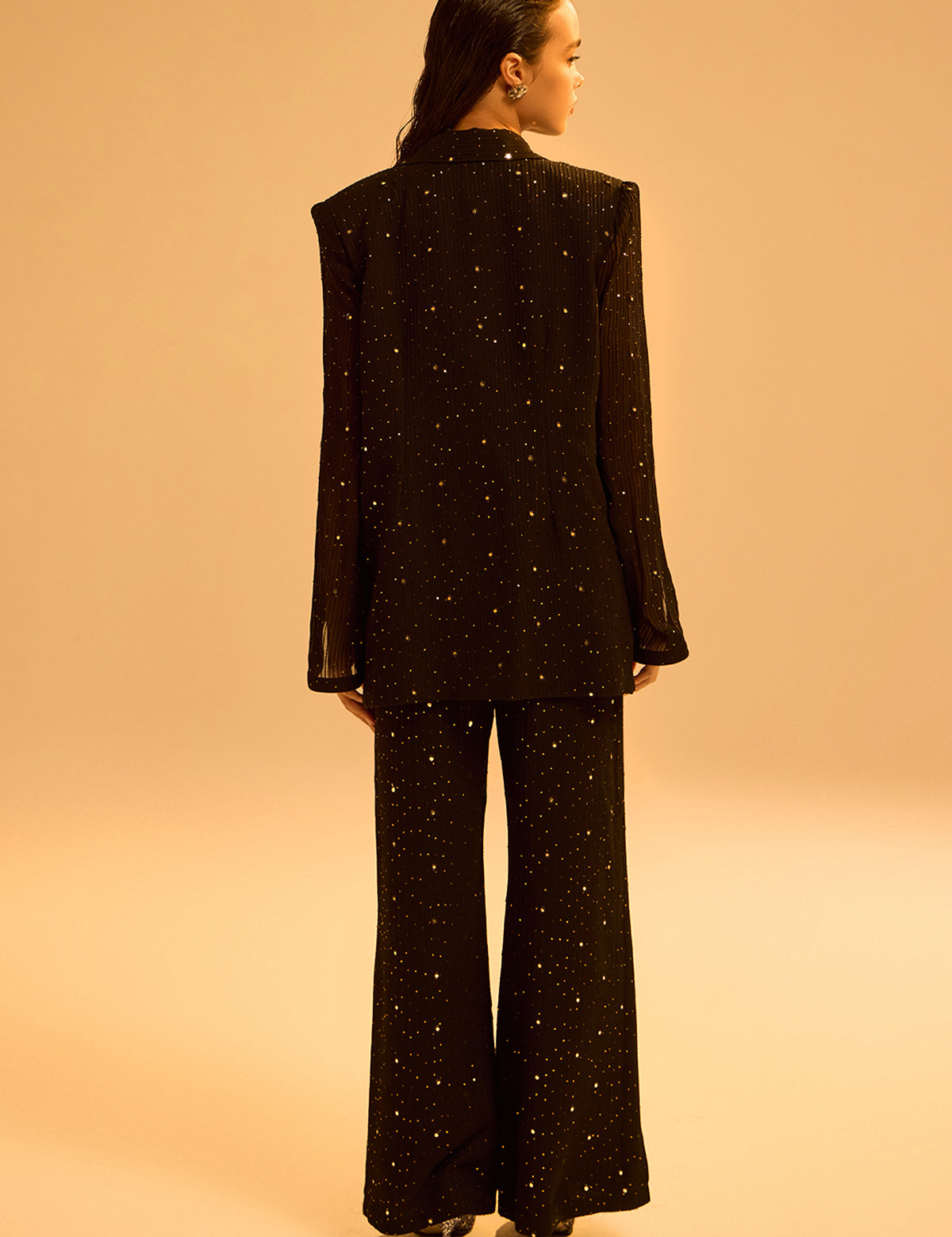Black Waterfall Blazer Set with mirror work, view 4 – Aina Karée